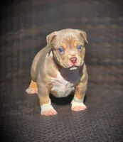 processed/99ded4ea-4c47-40a2-a866-f67a4ed62ddf/listing/dd4867af-f438-4f5e-9c72-3d2ac3981c08/7ff30d58-a080-4600-a779-f56d3b81c4a3