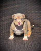 processed/99ded4ea-4c47-40a2-a866-f67a4ed62ddf/listing/dd4867af-f438-4f5e-9c72-3d2ac3981c08/808ed012-ea66-4f95-95bd-e6a1140803ac