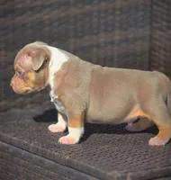 processed/99ded4ea-4c47-40a2-a866-f67a4ed62ddf/listing/dd4867af-f438-4f5e-9c72-3d2ac3981c08/8d57e815-e7d9-43e7-9be7-44ca059a87d4