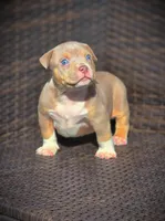 processed/99ded4ea-4c47-40a2-a866-f67a4ed62ddf/listing/dd4867af-f438-4f5e-9c72-3d2ac3981c08/94b3be7b-b7c5-4095-aa5d-1a8d3a1d5bf9