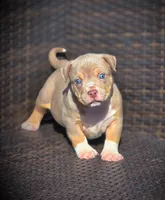 processed/99ded4ea-4c47-40a2-a866-f67a4ed62ddf/listing/dd4867af-f438-4f5e-9c72-3d2ac3981c08/a18e6377-fdd3-476b-a8da-66e62ee27dd1