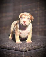 processed/99ded4ea-4c47-40a2-a866-f67a4ed62ddf/listing/f440b534-bf8a-4bf8-8e05-1cb2889e339a/1b71baff-b899-4dd1-bd2a-dbda2df81dee