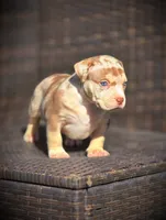 processed/99ded4ea-4c47-40a2-a866-f67a4ed62ddf/listing/f440b534-bf8a-4bf8-8e05-1cb2889e339a/6396683d-25cb-4482-bf8e-0e022f506eb6