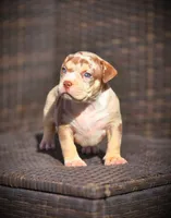 processed/99ded4ea-4c47-40a2-a866-f67a4ed62ddf/listing/f440b534-bf8a-4bf8-8e05-1cb2889e339a/65a7e509-c9c5-405e-840f-cabfa4b74256