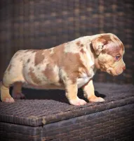 processed/99ded4ea-4c47-40a2-a866-f67a4ed62ddf/listing/f440b534-bf8a-4bf8-8e05-1cb2889e339a/76df7c95-c5ce-4e0a-a5a3-cbcb8dd62c95