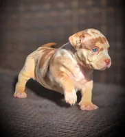 processed/99ded4ea-4c47-40a2-a866-f67a4ed62ddf/listing/f440b534-bf8a-4bf8-8e05-1cb2889e339a/ca0e8f88-c5e6-4118-bc3d-7e968728ed50