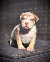 processed/99ded4ea-4c47-40a2-a866-f67a4ed62ddf/listing/f440b534-bf8a-4bf8-8e05-1cb2889e339a/d4e4b3ce-ac24-4ca4-94b1-701ac32080ef