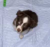 processed/99e42266-d962-40a5-b880-c0faacebc9df/listing/1df27dab-200c-4564-9336-abacfbd70470/0e10ce23-fbf7-47d8-b8b0-ebb0eaaa79c6