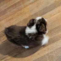 processed/99e42266-d962-40a5-b880-c0faacebc9df/listing/1df27dab-200c-4564-9336-abacfbd70470/77dec21e-0078-491f-83b4-fc41a4357023