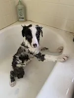 processed/99f6b277-d45f-4e80-9e55-862cd766b0da/facility/0c6dd64a-9c57-4c37-9d7b-680e432c5ae3