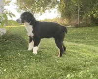 processed/99f6b277-d45f-4e80-9e55-862cd766b0da/facility/2838ac48-e895-4933-949e-317a48202315