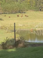 processed/99f6b277-d45f-4e80-9e55-862cd766b0da/facility/59585aaa-bb38-46b5-8ce5-dd5f931a6ebc