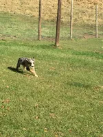 processed/99f6b277-d45f-4e80-9e55-862cd766b0da/facility/af298b36-c13d-4f89-a43d-782ac385b138