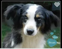 processed/99f6b277-d45f-4e80-9e55-862cd766b0da/facility/b7291a8b-b662-4e50-8a70-be4507ff652f