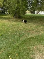 processed/99f6b277-d45f-4e80-9e55-862cd766b0da/facility/bfb89638-c3d7-4547-962a-6b9afa44cc9c