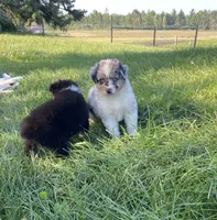 processed/99f6b277-d45f-4e80-9e55-862cd766b0da/facility/cb8e524a-cd86-490b-9fca-32cf356bba0f