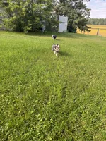 processed/99f6b277-d45f-4e80-9e55-862cd766b0da/listing/0d82e724-4496-4ee5-8500-053dd904cdc8/1883b366-5f27-495b-ae79-ce96db7d8df5