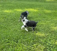 processed/99f6b277-d45f-4e80-9e55-862cd766b0da/listing/0d82e724-4496-4ee5-8500-053dd904cdc8/2c9b2f05-6130-4c96-a5a3-9934bed916ce