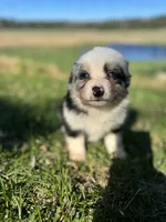 processed/99f6b277-d45f-4e80-9e55-862cd766b0da/listing/0d82e724-4496-4ee5-8500-053dd904cdc8/349264c8-1ee8-47f4-b650-672938ab4bca