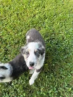 processed/99f6b277-d45f-4e80-9e55-862cd766b0da/listing/0d82e724-4496-4ee5-8500-053dd904cdc8/9643fa77-4a09-40ff-b8ee-d8615e636f14