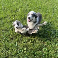 processed/99f6b277-d45f-4e80-9e55-862cd766b0da/listing/0d82e724-4496-4ee5-8500-053dd904cdc8/c9374208-75d0-4fe2-9f79-29d3d63f9f64