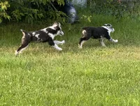 processed/99f6b277-d45f-4e80-9e55-862cd766b0da/listing/0d82e724-4496-4ee5-8500-053dd904cdc8/e2e021dc-990d-418a-9e9d-ba2499dfad7c