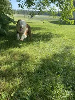 processed/99f6b277-d45f-4e80-9e55-862cd766b0da/listing/1466d1b0-6d9a-4a4b-8734-c4aba256abef/3a18c50e-bc4b-43c4-a296-a4a389ab277a