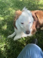 processed/99f6b277-d45f-4e80-9e55-862cd766b0da/listing/1466d1b0-6d9a-4a4b-8734-c4aba256abef/64a0986a-2c9e-49a5-bd6e-e271c665d184