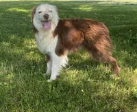 processed/99f6b277-d45f-4e80-9e55-862cd766b0da/listing/1466d1b0-6d9a-4a4b-8734-c4aba256abef/a0b266a0-e8f2-481f-83a5-0d42fc8d334c