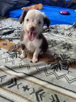 processed/99f6b277-d45f-4e80-9e55-862cd766b0da/listing/1466d1b0-6d9a-4a4b-8734-c4aba256abef/c9e49c35-0bbd-4a51-bb5c-0d16437ead17