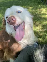 processed/99f6b277-d45f-4e80-9e55-862cd766b0da/listing/1466d1b0-6d9a-4a4b-8734-c4aba256abef/f8bdcffc-166c-41d4-ab53-46f51b11b7f9