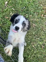 processed/99f6b277-d45f-4e80-9e55-862cd766b0da/listing/3d8308f3-51fb-4793-b779-3b71f9c24d6f/07817c82-5eaa-407f-baeb-7054f0c47995