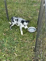 processed/99f6b277-d45f-4e80-9e55-862cd766b0da/listing/3d8308f3-51fb-4793-b779-3b71f9c24d6f/15e398e6-a634-4aef-896a-e9daa2ff51c8