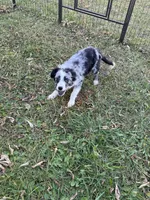 processed/99f6b277-d45f-4e80-9e55-862cd766b0da/listing/3d8308f3-51fb-4793-b779-3b71f9c24d6f/3993dbb6-fa11-4074-a3ea-751781fdd9af