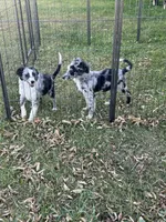 processed/99f6b277-d45f-4e80-9e55-862cd766b0da/listing/3d8308f3-51fb-4793-b779-3b71f9c24d6f/3c5a77f4-05e9-4625-9acf-a06533fae791