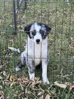 processed/99f6b277-d45f-4e80-9e55-862cd766b0da/listing/3d8308f3-51fb-4793-b779-3b71f9c24d6f/660c605a-f818-464f-a6f2-51de1283d749