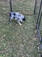 processed/99f6b277-d45f-4e80-9e55-862cd766b0da/listing/3d8308f3-51fb-4793-b779-3b71f9c24d6f/977a744f-0ce9-492f-b40f-e45013254f93