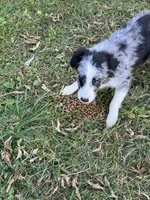 processed/99f6b277-d45f-4e80-9e55-862cd766b0da/listing/3d8308f3-51fb-4793-b779-3b71f9c24d6f/ae2c6125-307e-4163-94f6-c68669fd3210