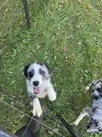 processed/99f6b277-d45f-4e80-9e55-862cd766b0da/listing/3d8308f3-51fb-4793-b779-3b71f9c24d6f/d4f95e4f-7719-4b99-8389-d42554a8caca