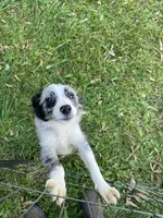 processed/99f6b277-d45f-4e80-9e55-862cd766b0da/listing/3d8308f3-51fb-4793-b779-3b71f9c24d6f/e899f7e2-0a81-4cd8-a4d3-2e87db107d3a