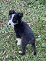 processed/99f6b277-d45f-4e80-9e55-862cd766b0da/listing/f786561b-e2e0-4226-b224-6733d8bde61d/144eb977-9c88-45dc-a366-cac809ba31b4