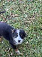 processed/99f6b277-d45f-4e80-9e55-862cd766b0da/listing/f786561b-e2e0-4226-b224-6733d8bde61d/402e24a6-7487-44b7-b8f1-ff7ef9ecbd9c