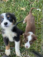 processed/99f6b277-d45f-4e80-9e55-862cd766b0da/listing/f786561b-e2e0-4226-b224-6733d8bde61d/ac664a79-6d5a-43fd-8d98-0f980ea1712e