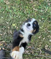 processed/99f6b277-d45f-4e80-9e55-862cd766b0da/listing/f786561b-e2e0-4226-b224-6733d8bde61d/bae8ee6f-e9f5-4aee-80a4-a6df8338570e