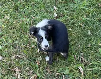 processed/99f6b277-d45f-4e80-9e55-862cd766b0da/listing/f786561b-e2e0-4226-b224-6733d8bde61d/d1cc56b3-ebf4-401d-b552-defbed50ad5d