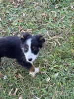 processed/99f6b277-d45f-4e80-9e55-862cd766b0da/listing/f786561b-e2e0-4226-b224-6733d8bde61d/e592aa1c-c5d6-41c7-abaa-38eac4430b21