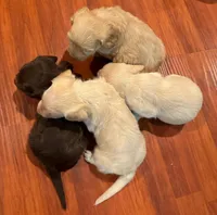 processed/99face58-6942-4ad7-bd73-0a431c667104/facility/a41d924e-6c44-4eef-8a80-57f9bec369e1