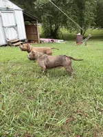 processed/99fc8766-e2d6-42a2-8baf-25891722781b/facility/4e8142e2-37dd-4ffc-9bab-f0614d77b6ba