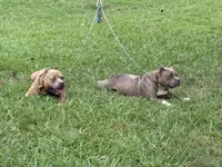 processed/99fc8766-e2d6-42a2-8baf-25891722781b/facility/72ea9ef3-571e-47a0-910c-013a6a8fcd1a