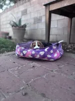 Regan, a female Beagle for sale in Canyon Country, CA – Photo 3 of 6